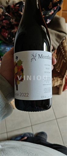 Sud-Ovest Côtes de Gascogne Domaine Montluc 2022