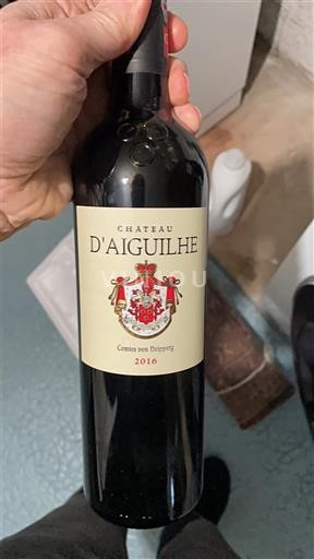 Bordeaux Castillon-côtes-de-bordeaux Château Aiguilhe 2016