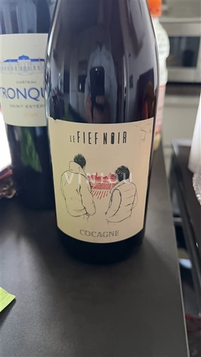 Thung lũng sông Loire Anjou Le Fief Noir Cocagne Không niên vụ