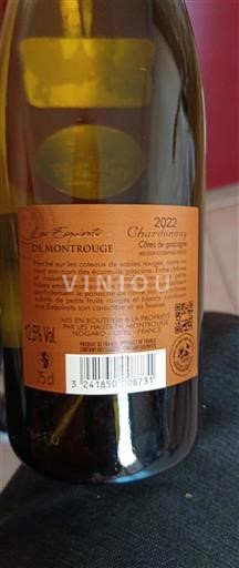 Sud-Ouest Côtes de Gascogne Domaine Montrouge 2022