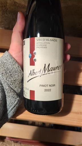 Alsacia Albert Maurer 2022