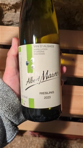 Alsacia Albert Maurer 2023