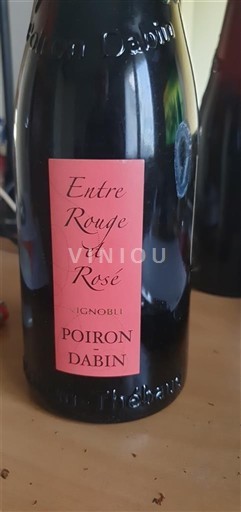 Vine Rouge sec Entre Rouge et Rosé Poiron Dabin 2021 Frankrig Loire-dalen Loiredalen IGP