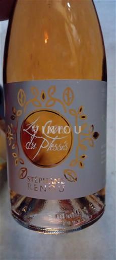 Viinit Rosé sec Les Caves du Plessis Stéphane Renou Non millésimé Ranska Loiren laakso Rosé d’Anjou AOC