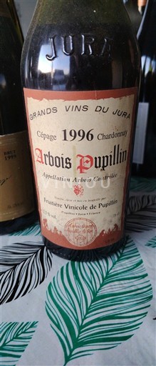 Jura Ni doloceno Fruitière Vinicole de Pupillin 1996