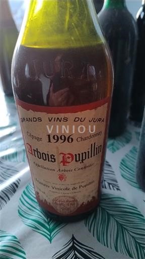 Jura Domaine La Fruitière Vinicole de Pupillin 1996
