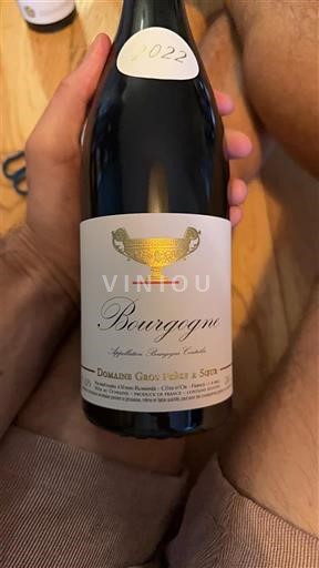 Borgogna Domaine Gros Frère et Sœur 2022