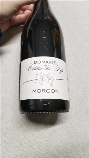 Beaujolais Morgon Domaine Coteau des Lys 2023