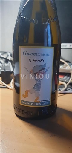 Vine Blanc sec Gwen tremener Ty Terrible Domaine Poiron Dabin Non millésimé Frankrig Loire-dalen Loiredalen IGP