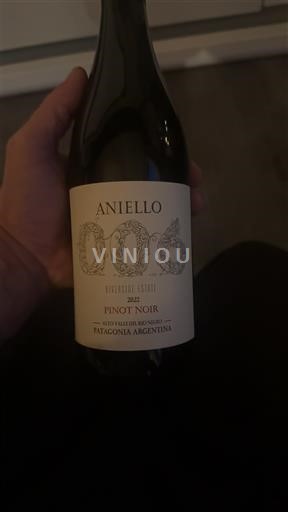 Patagonia Unspecified Aniello 006 Riverside Estate 2022