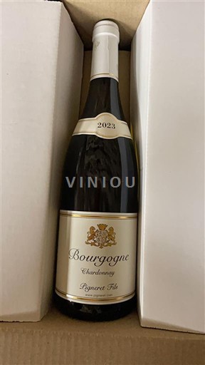 Bourgogne Pigneret Fils 2023