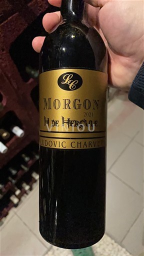 Beaujolais Morgon Ludovic Charvet H de Hercule 2021