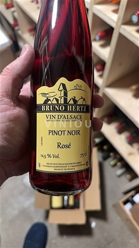 Alsace Bruno Hertz Không niên vụ