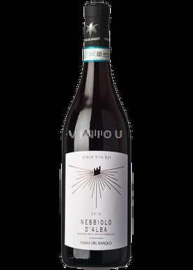 Piemonte Nebbiolo d'Alba Terre del Barolo 2022