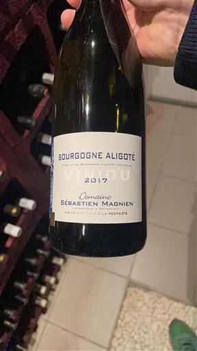 Burgundija Bourgogne Aligoté Domaine Sébastien Magnien 2017