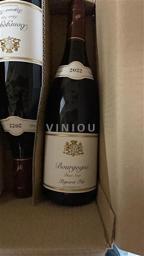 Borgoña Paguet Fils 2022