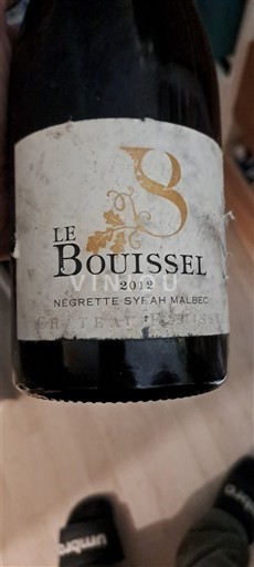 Sudoeste Fronton Le Bouissel 2012