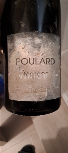 Beaujolais Morgon Jean-Noël Poulard 2019