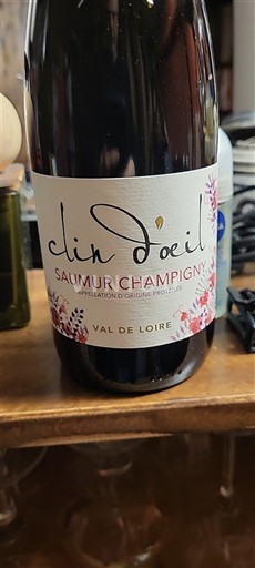 Thung lũng sông Loire Saumur-champigny Clin œil Không niên vụ