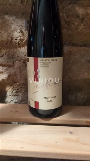 Alsacia Albert Maurer 2020