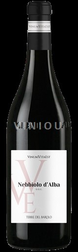 Piemonte Nebbiolo d'Alba Terre del Barolo Vinum Vitae Est 2021