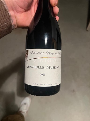 Bourgondië Chambolle-Musigny Boursot Père & Fils 2023