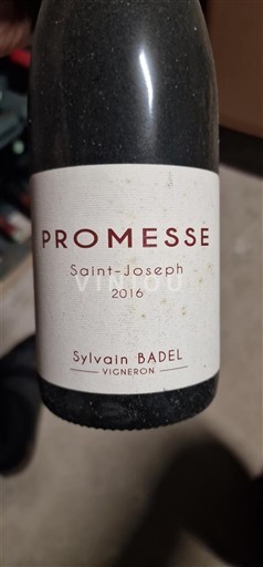 Vallée du Rhône Saint-Joseph Sylvain Badel Promesse 2016