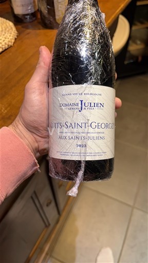 Burgundija Nuits-Saint-Georges Domaine Julien Aux Saints-Juliens 2023
