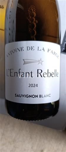 Valle del Loira No especificado Antoine de la Farge L'Enfant Rebelle 2024