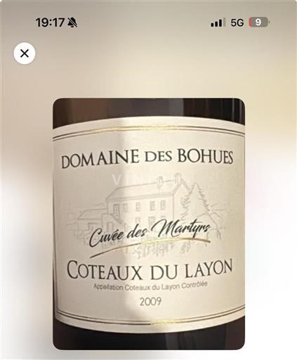 Loirevallei Coteaux du Layon Domaine Des Bohues des Martyrs 2009