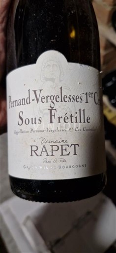 Bourgogne Ikke specificeret Premier Cru Domaine Rapet Sous Frétille 2019