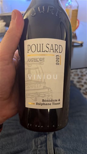 Jura Côtes-du-Jura Bénédicte & Stéphane Tissot Amphore 2023