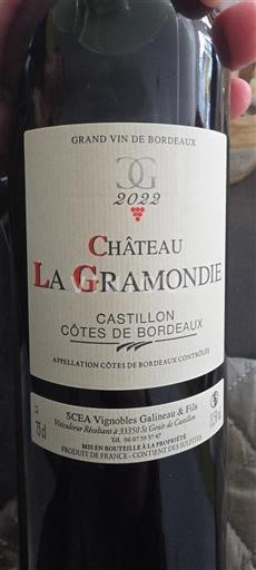 Bordeaux Castillon-côtes-de-bordeaux Château La Gramondie 2022