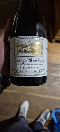 Бургундія Gevrey-Chambertin Domaine Quivy Les Evocelles 2023