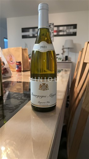 Burgundi Bourgogne Aligoté Peynot Fils 2021