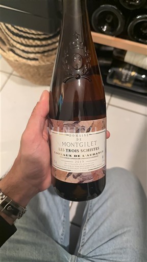 Thung lũng sông Loire Coteaux-de-l'aubance Domaine Montgilet Les Trois Schistes 2015