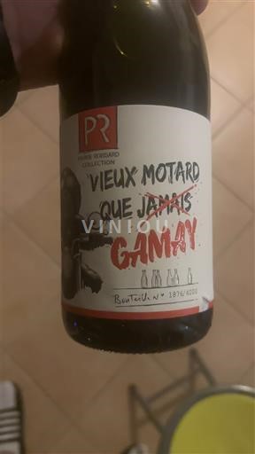 Beaujolais Pierre Richard Vieux Motard Que Jamais Gamay 2023