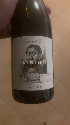 Linguadoca Domaine Coudoulet 2022