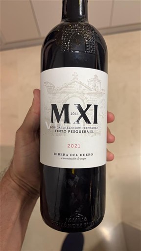 Castilien og León Ribera del Duero Bodegas Alejandro Fernández Tinto Pesquera MXI 2021