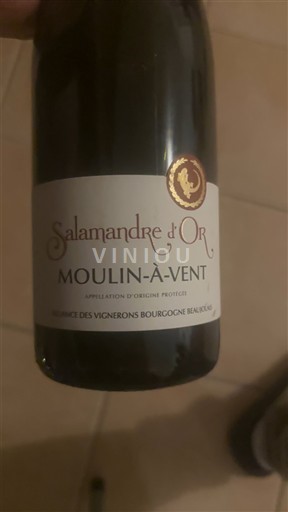 Beaujolais Moulin-à-vent Salamandre Or 2020