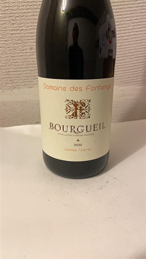 Loiren laakso Bourgueil Domaine Des Fonteruis Vieilles Vignes 2022