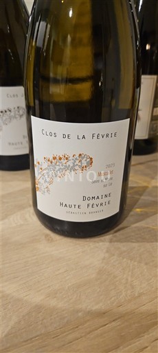 Valle del Loira Muscadet-sèvre-et-maine Domaine Haute Févrie Clos de la Févrie 2023
