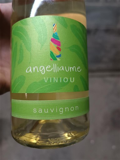 Dolina Loare Touraine Angelliaume Neleten.