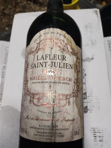 Bordeaux Saint-Émilion Grand Cru Lafleur Saint-Julien Rangée 19 1996