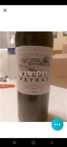 Burdeos Blaye-Côtes de Burdeos Fleur Peyrat 2021