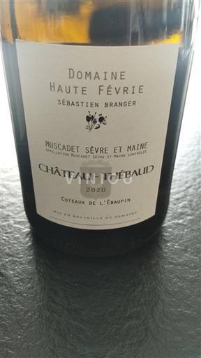 Valle del Loira Muscadet-sèvre-et-maine Domaine Haute Févrie DGC Château-Thébaud 2020