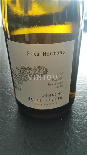 Valle del Loira No especificado Domaine Haute Févrie Gras Moutons 2023