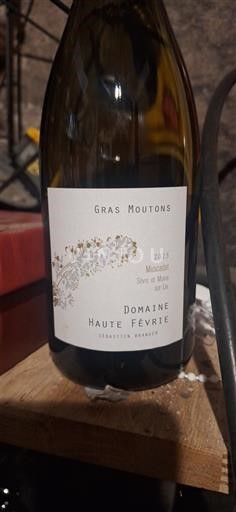 Valea Loarei Nespecificat Domaine Haute Févrie Gras Moutons 2023