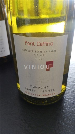Valle del Loira Muscadet-sèvre-et-maine Domaine Haute Févrie Pont Caffino 2024
