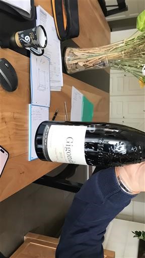 Rhônen laakso Gigondas Georges Lelektsoglou Vieilles vignes 2019